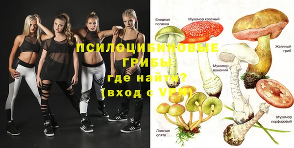 амфетамин Белокуриха