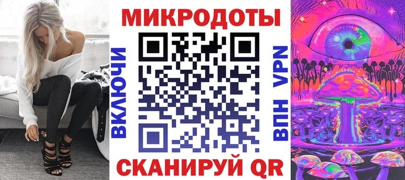 Псилоцибиновые грибы Psilocybine cubensis  Волгореченск 