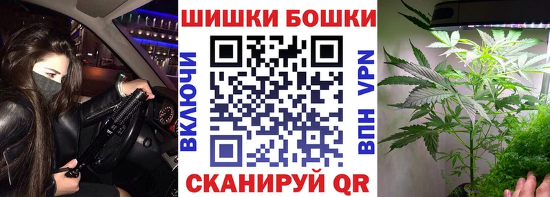где купить   Волгореченск  Конопля White Widow 